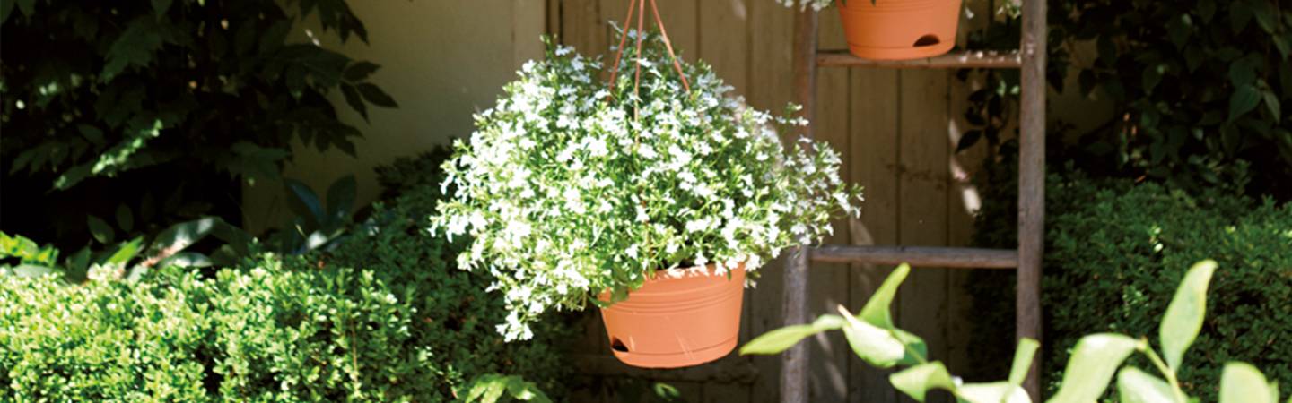 green basics hängeampel 28cm laubgrün